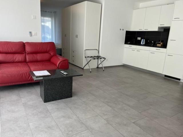 דירת חדר עם טרסה, Hippel Krone