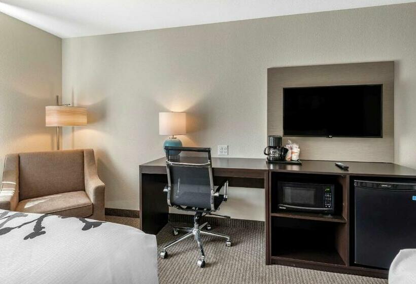 Номер Стандарт 2 Двуспальные Кровати, Sleep Inn Durango