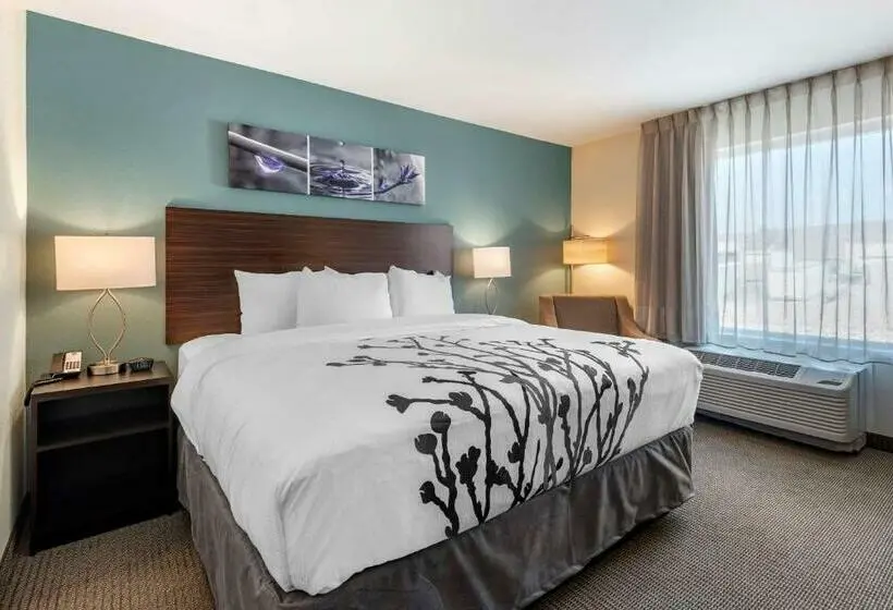 キングサイズベッドのスタンダードルーム, Sleep Inn Durango