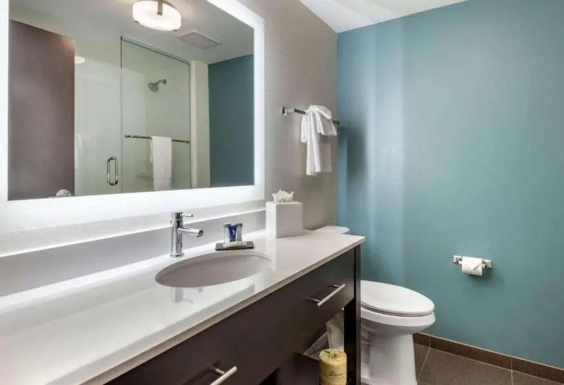 キングサイズベッドのスタンダードルーム, Sleep Inn Durango