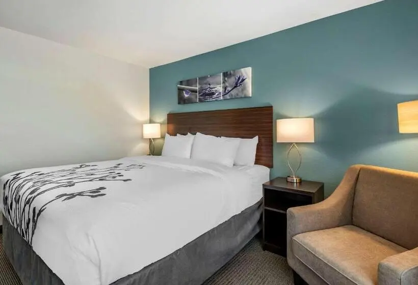 キングサイズベッドのスタンダードルーム, Sleep Inn Durango