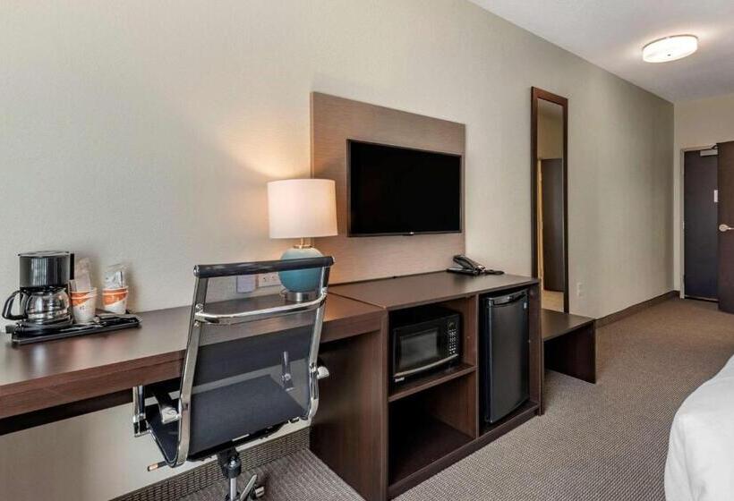 Номер Стандарт Кровать Кинг Адаптированный для Инвалидов, Sleep Inn Durango