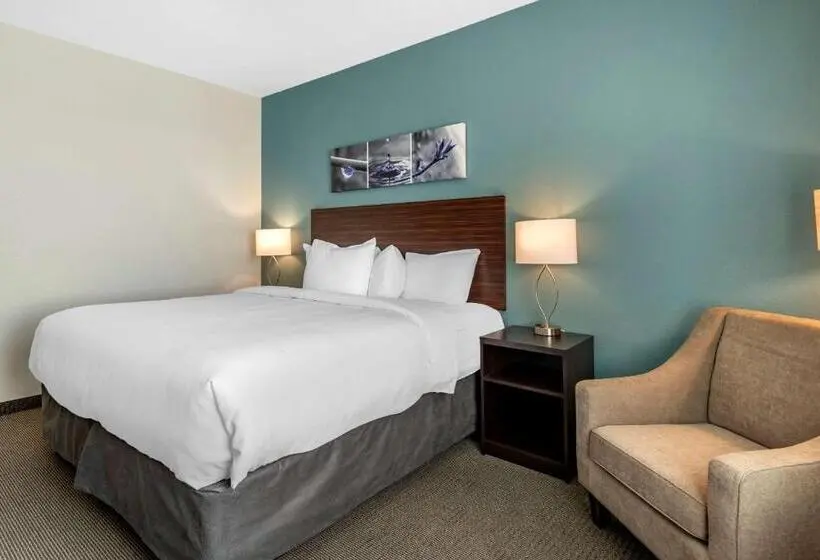 身障者適用キングサイズベッドルーム, Sleep Inn Durango