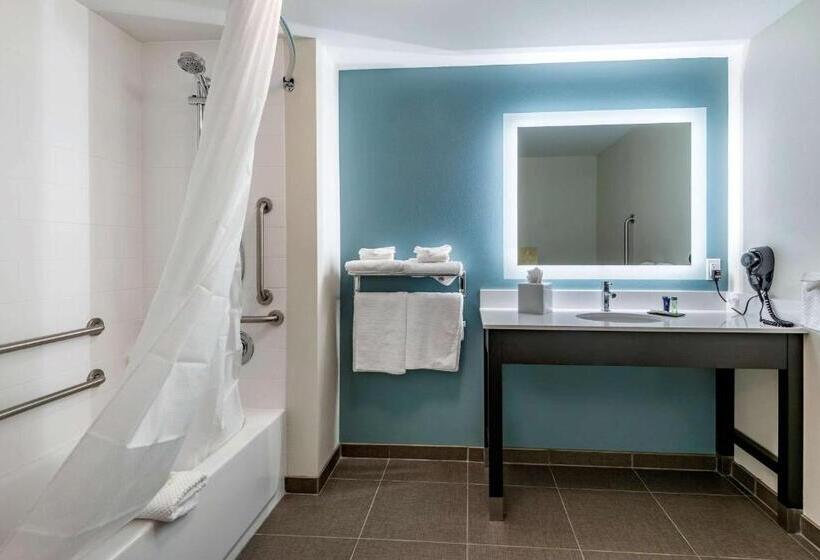 Номер Стандарт Кровать Кинг Адаптированный для Инвалидов, Sleep Inn Durango