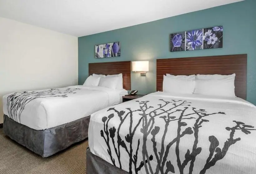 身障者適用スタンダードルーム, Sleep Inn Durango