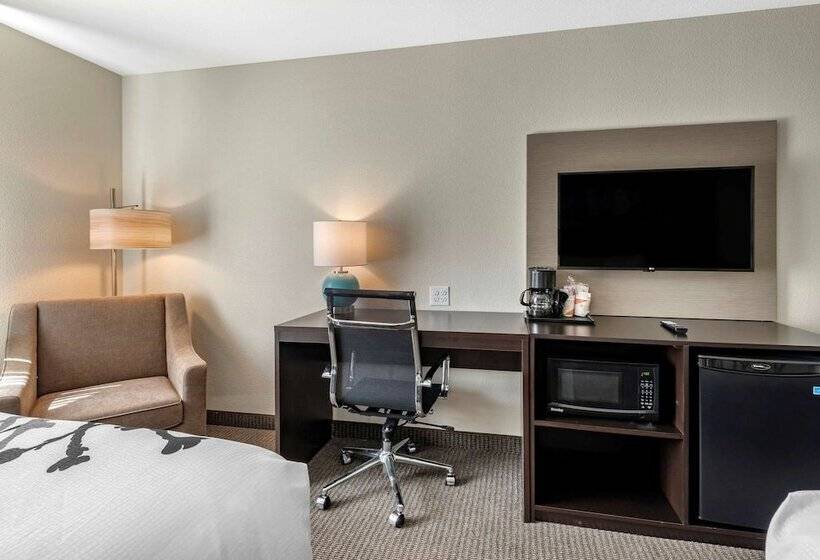 Номер Стандарт 2 Двуспальные Кровати, Sleep Inn Durango