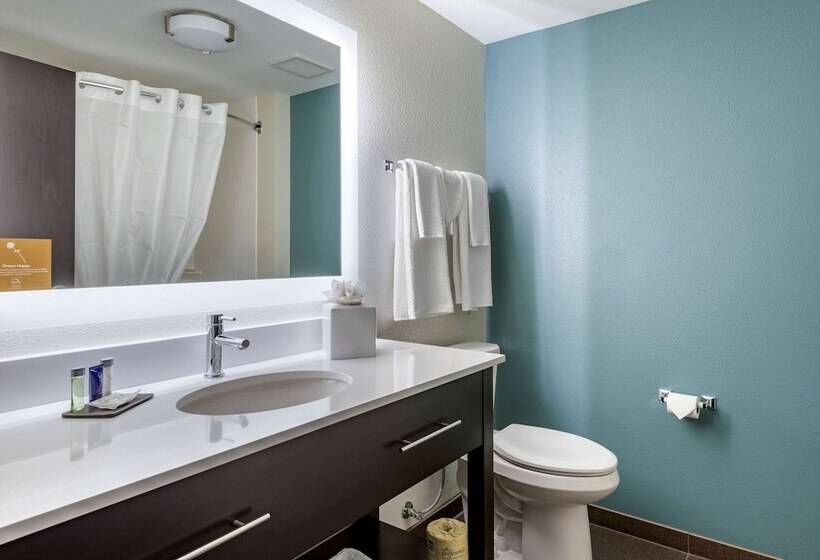 Номер Стандарт 2 Двуспальные Кровати, Sleep Inn Durango