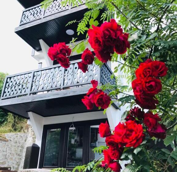 استودیوی استاندارد, Old City House