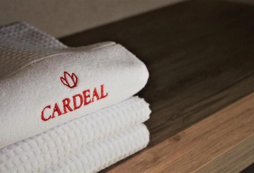 استودیو استاندارد با چشم‌انداز باغ, Cardeal Suites & Apartments