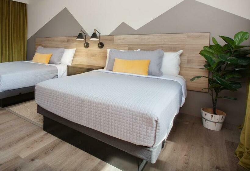 غرفة قياسية, 4411 Inn & Suites