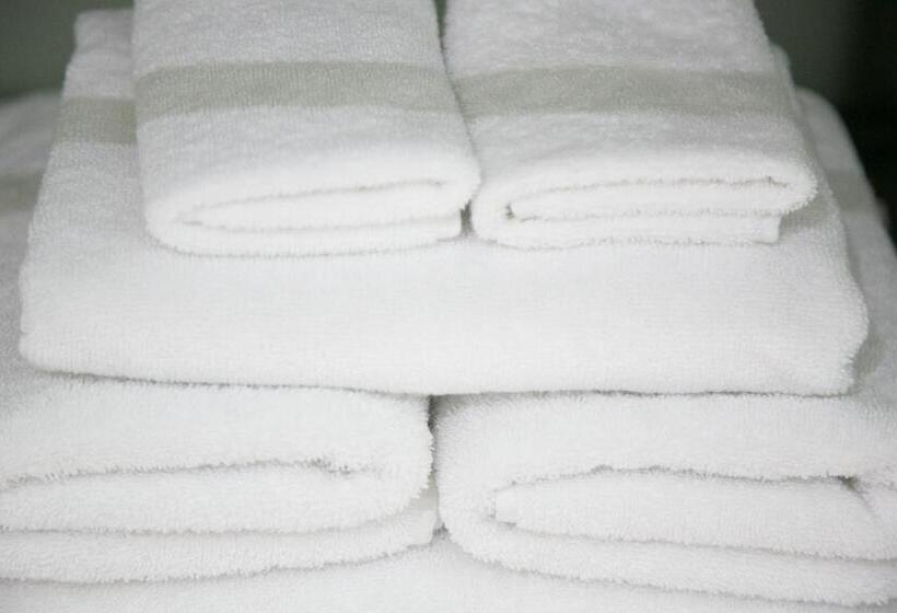 סוויטת דופלקס, Boutique Palacio Corredera