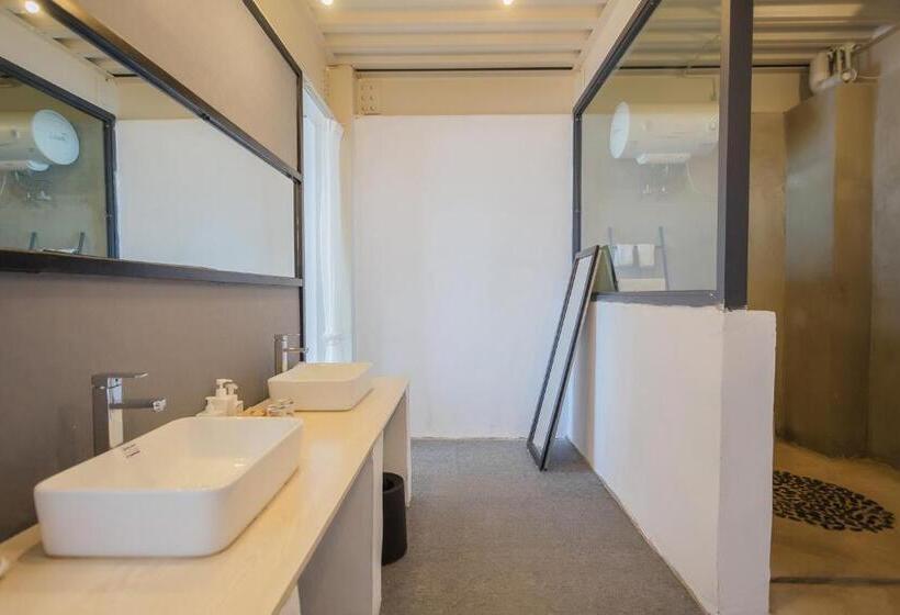 스탠다드 룸, 1979 Treeinn