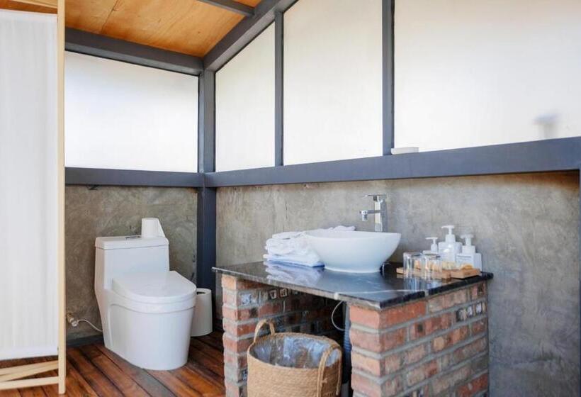 스탠다드 테라스 룸, 1979 Treeinn