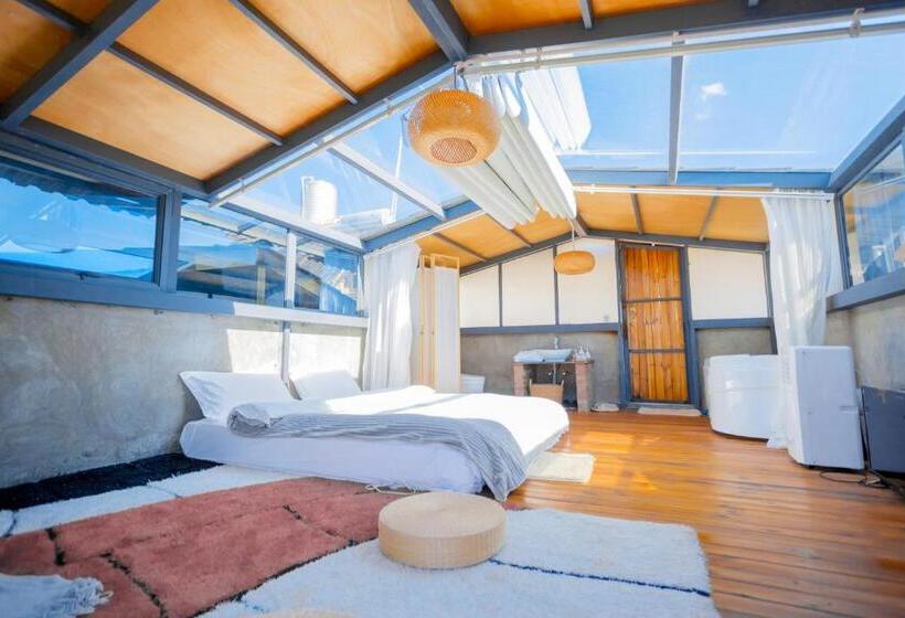 스탠다드 테라스 룸, 1979 Treeinn