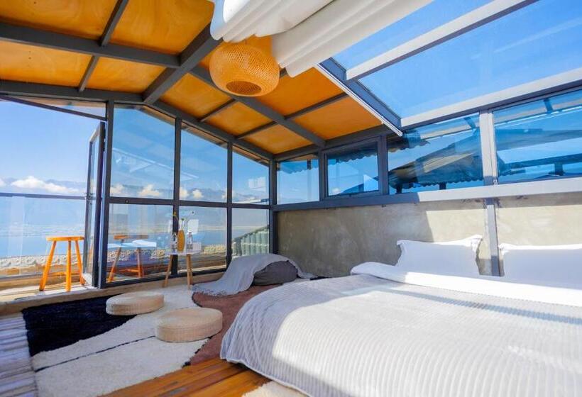 스탠다드 테라스 룸, 1979 Treeinn