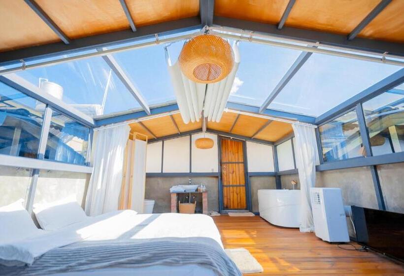 스탠다드 테라스 룸, 1979 Treeinn