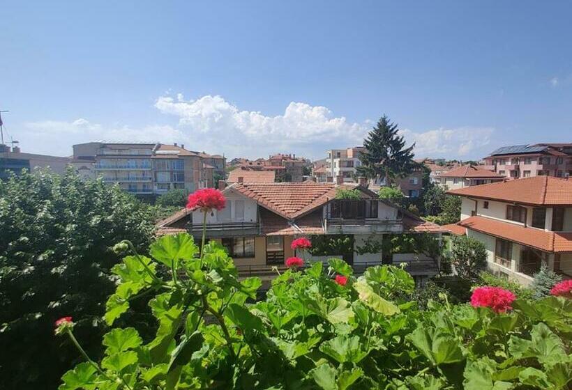 四人标准间, Art Villa Rozalia