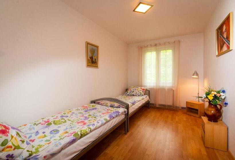 带1个卧室的公寓, Penzion Kozí Farma Nový Dvůr