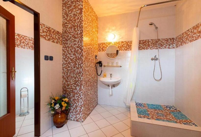 带1个卧室的公寓, Penzion Kozí Farma Nový Dvůr