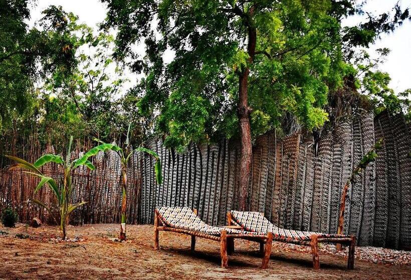 Номер Стандарт, Shanka Lodge Zanzibar