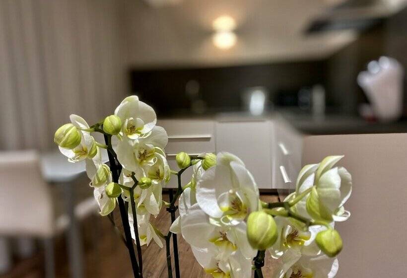 شقة غرفة واحدة, Harpazul