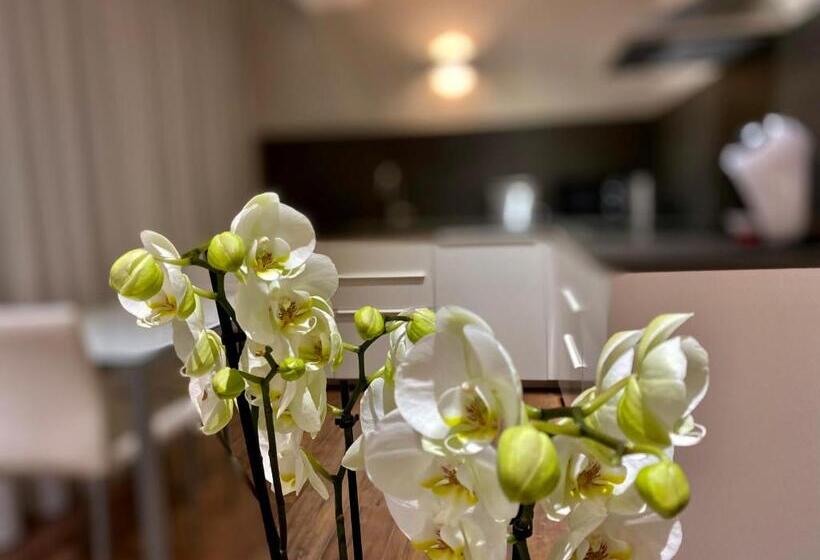 شقة غرفة واحدة, Harpazul