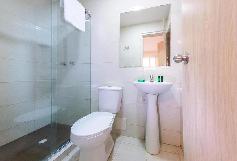 スタンダードルーム, Ayenda Panamericana