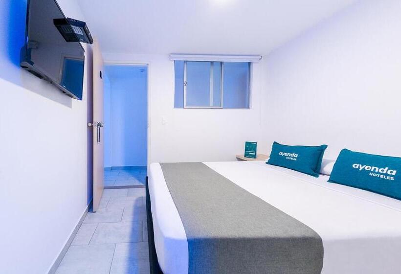 スタンダードルーム, Ayenda Panamericana