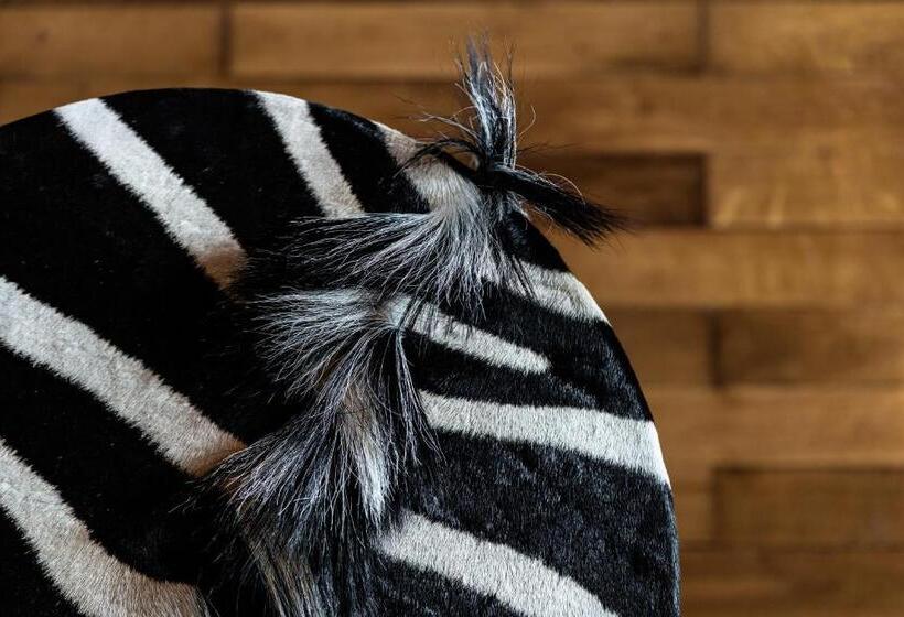 غرفة دوبلكس, Château De Maubreuil