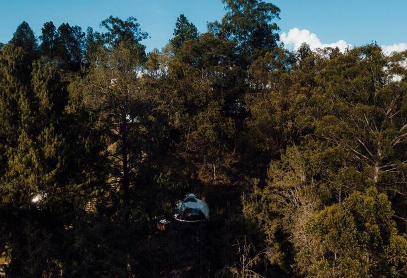 디럭스 룸, Domus Glamping Guatapé