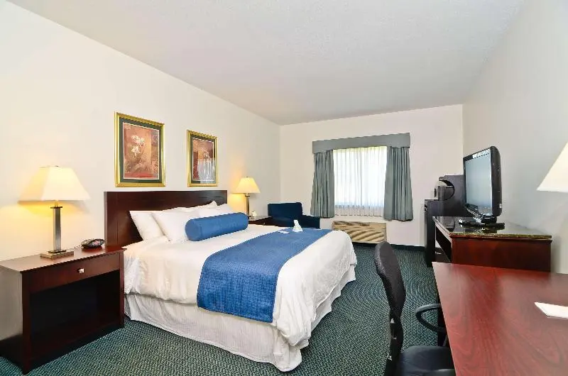 デラックススイート, Greentree Eastern Hotel Handan Daming Bus Station