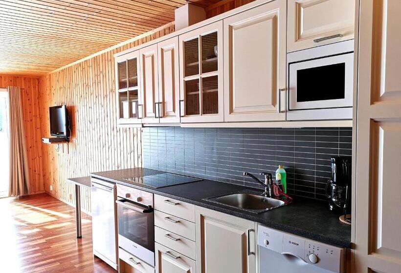 סטודיו סטנדרטי נוף לים, Statles Rorbu  Og Konferansesenter As