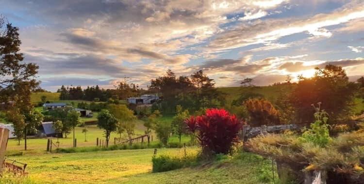 סוויטה משפחתית, Malanda Manor Guesthouse