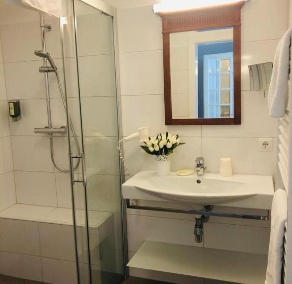 スタンダードシングルルーム, Schloss Kurhotel Strobl