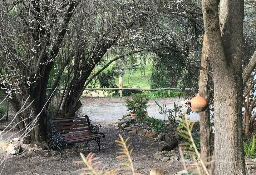 Апартаменты 1 Спальня, Adagio In Auburn