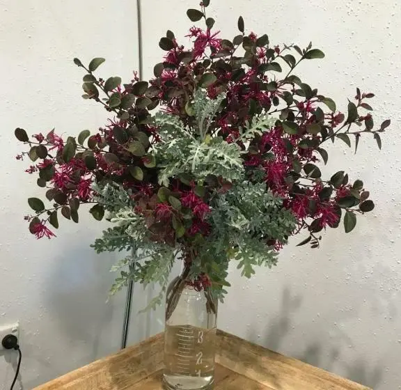 1ベッドルームアパートメント, Adagio In Auburn