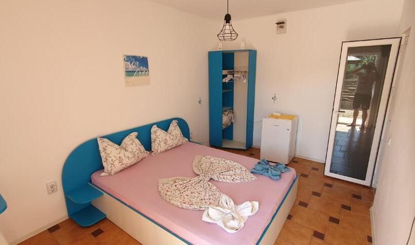 اتاق استاندارد با تراس, Hostel Delfinul Albastru