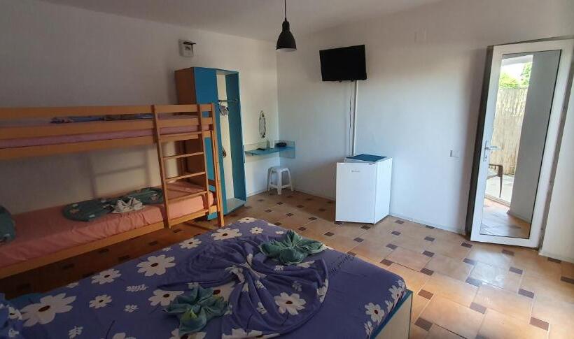 اتاق استاندارد با تراس, Hostel Delfinul Albastru
