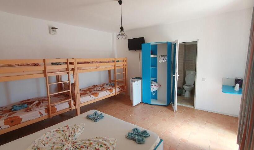 Standard Triple Room with Terrace, Hostel Delfinul Albastru