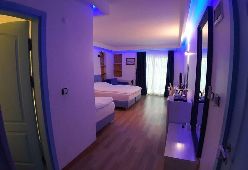 デラックスルーム, Alis Boutique Otel