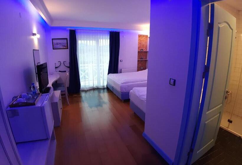 디럭스 룸, Alis Boutique Otel