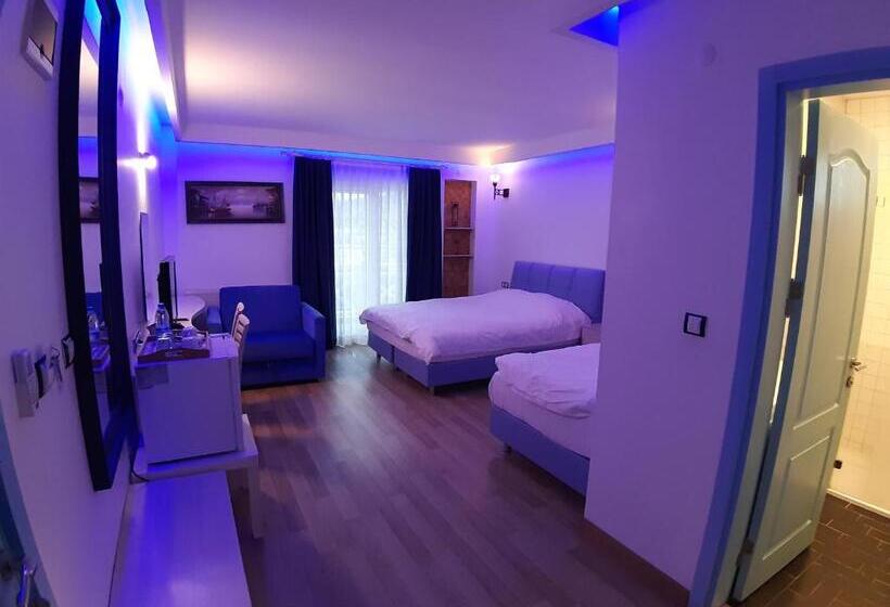 スタンダードトリプルルーム, Alis Boutique Otel