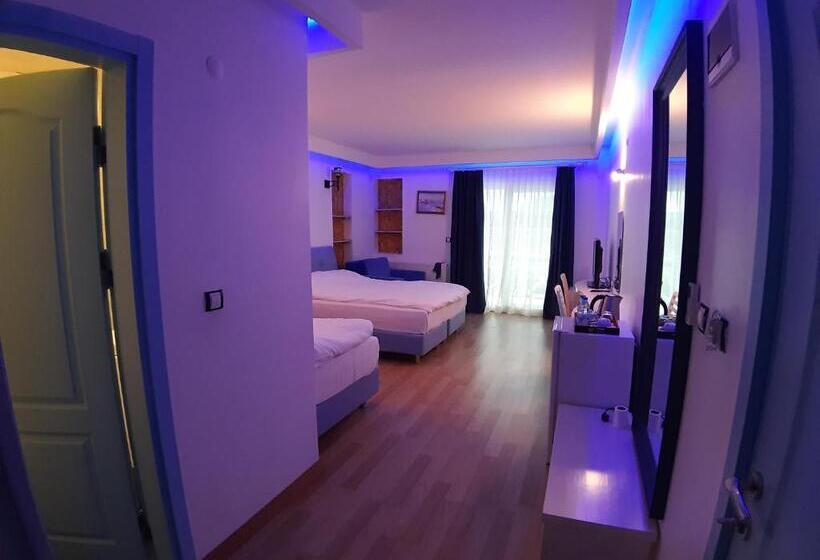 デラックストリプルルーム, Alis Boutique Otel