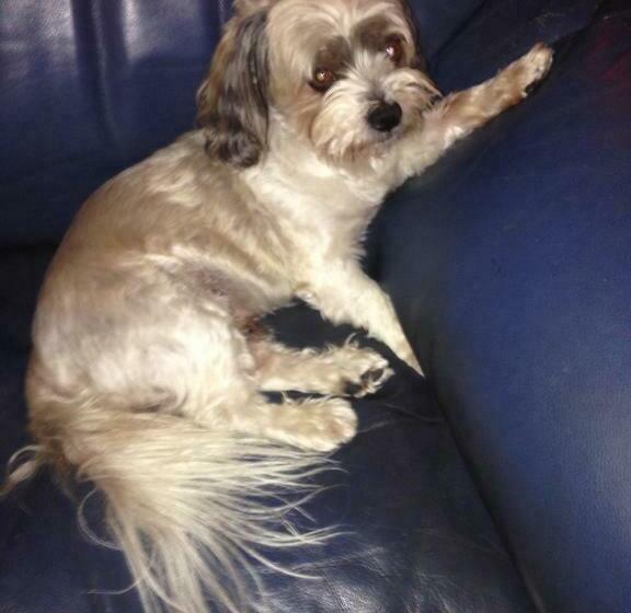 带1个卧室的带海景的公寓, Executive Properties In North Ward Townsville And On Magnetic Island