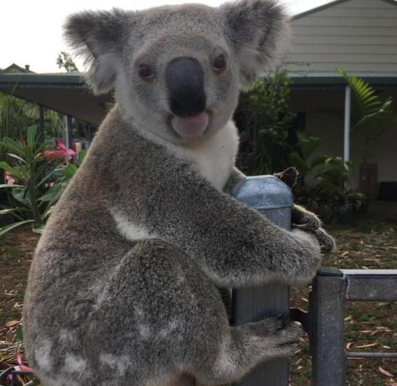 带1个卧室的带海景的公寓, Executive Properties In North Ward Townsville And On Magnetic Island