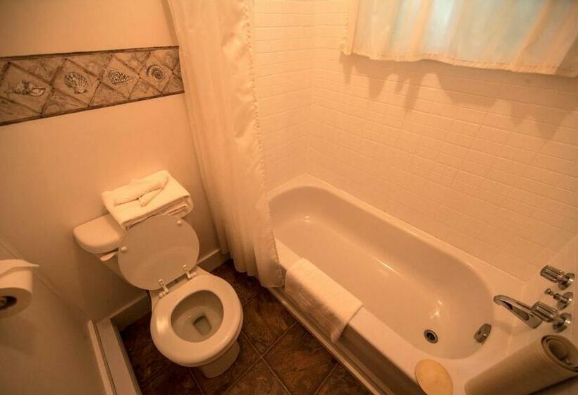 Номер Economy, Auberge La Coudriere Cool