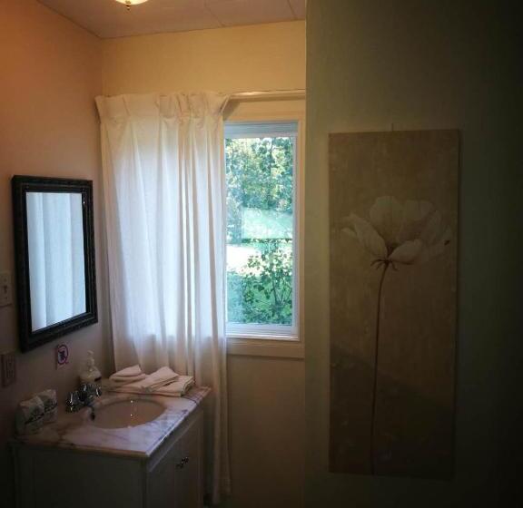 Номер Стандарт Вид на Озеро, Auberge La Coudriere Cool