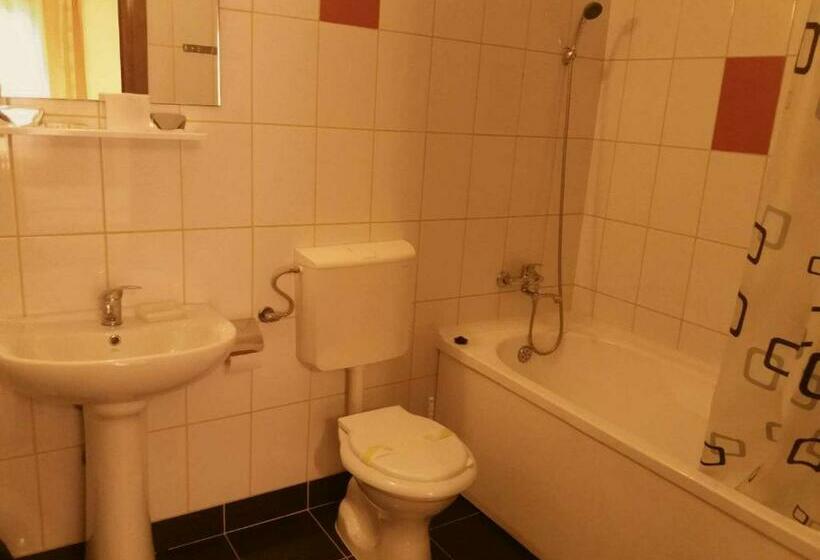 חדר סטנדרט, Maier