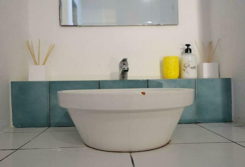 غرفة قياسية, Olive Branch El Chorro