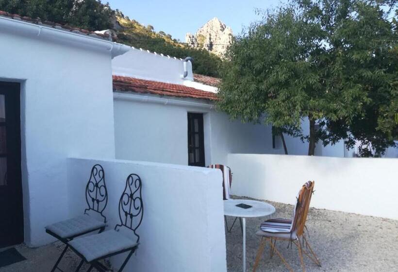 غرفة قياسية, Olive Branch El Chorro